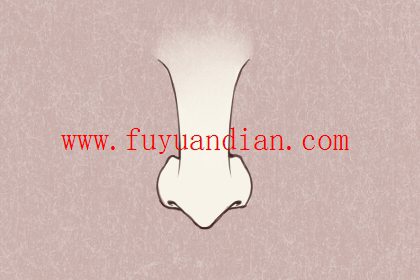 鹰钩鼻的女人的性格强势 感情不幸福