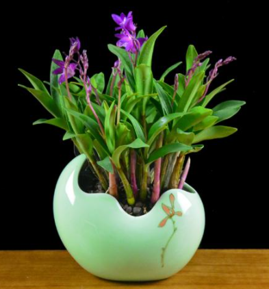 父亲节送花一般送什么花？