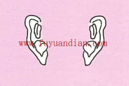 有福气的耳朵特征 耳高垂珠厚