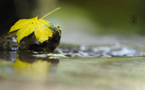 什么是处暑？处暑应该吃什么？