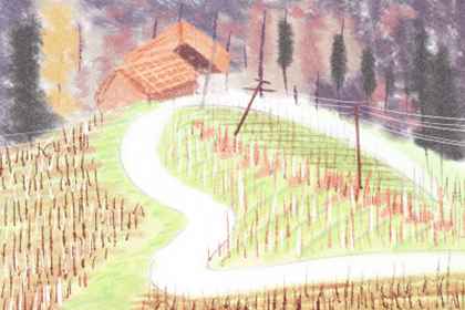 巨富的手相有两条线 巨富的手相有两条线 分别是理财和财运