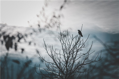 壁刀煞也要看距离的 壁刀煞的化解方法