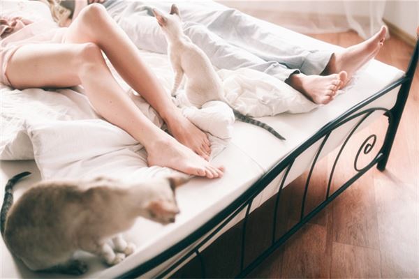 脚型能看官运吗