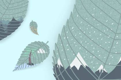 2020鼠年猫上门风水 2020鼠年猫上门风水 预示家庭有爱富贵