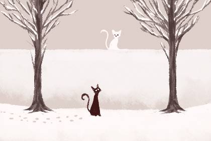 风水上对自来猫的说法 风水上对自来猫的说法 为你送财挡煞气