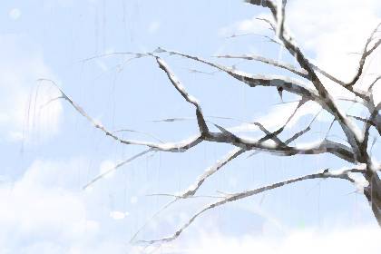 2020圣诞节是几月几日 2020圣诞节是几月几日 这一天适合结婚吗