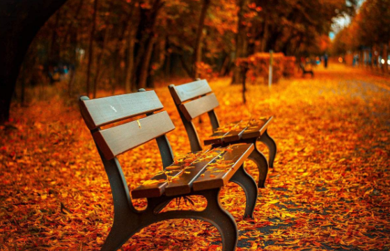 2020年和2021年的农历十月份结婚吉日分别是哪几天？/