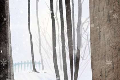 冬至日上演土木相合 冬至日上演土木相合 20年一见的奇闻天象