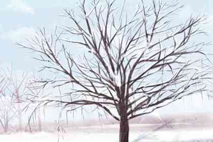 平安夜送什么礼物给喜欢的人 平安夜送什么礼物给喜欢的人 送其想要的东西最佳