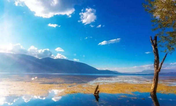 婚姻线是哪一条？看手相婚姻不顺有哪几种？