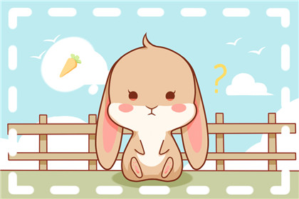 兔6 属兔男人2021年上半年运势 财运向好