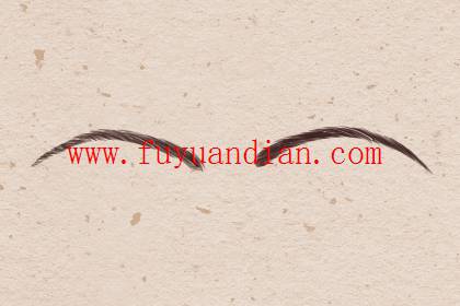 女人最招财的眉毛 女人最招财的眉毛 柳叶眉钱财自来