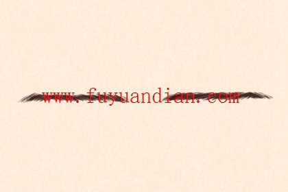 女人最招财的眉毛 女人最招财的眉毛 柳叶眉钱财自来