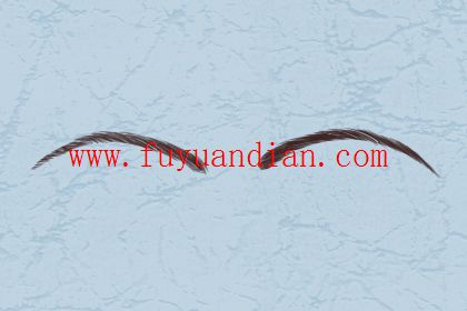 女人最招财的眉毛 女人最招财的眉毛 柳叶眉钱财自来