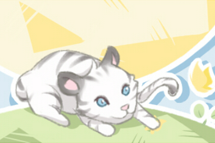 腊月十五是几月几号 阳历21年1月27日乙亥日