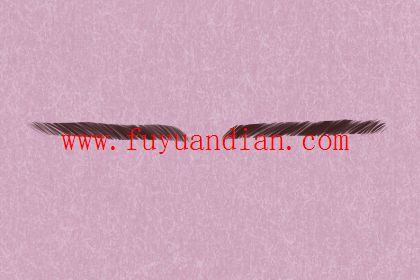 最旺夫的眉型解析 柳叶眉女在事业上旺夫