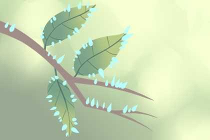 2021年为什么没有立春 节气时间在春节之前