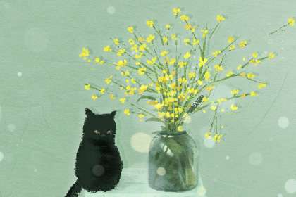 2021年不打春是什么意思 年份中没有立春节气