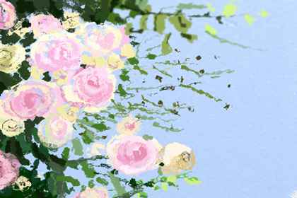 卧室放什么花最好健康 卧室放什么花最好健康 虎皮兰净化有害气体