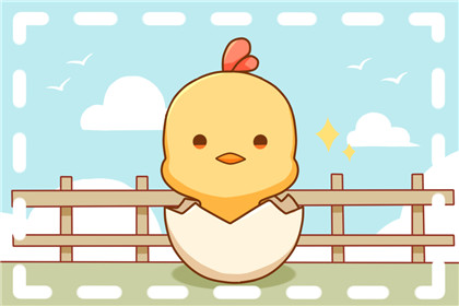 鸡3 81年生肖属鸡人40岁后命运 职位收入有很大提升