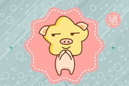 猪 2021年属猪的人可以创业开店开公司吗