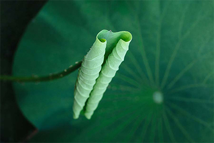 2021年二十四节气时间表，2021年节气详细时间表