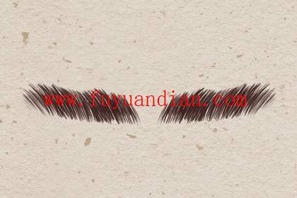 左眉毛上有疤的人命运 左眉毛上有疤的人命运 随心所欲报复心强