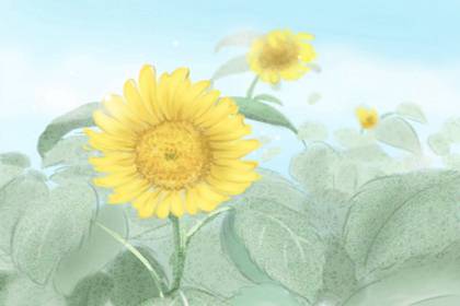 2021两头没春是什么意思 一整年中缺少立春节气