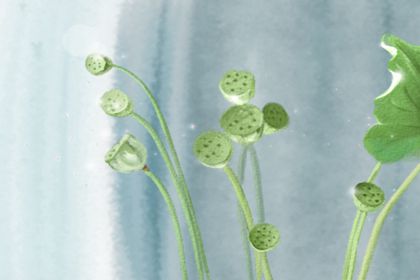 2021为什么是无春年 开春会倒春寒吗