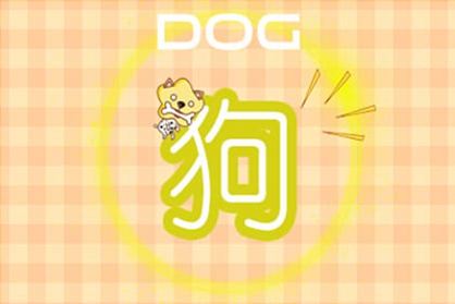 2021年生肖狗全年运程详解 属狗的男女运势
