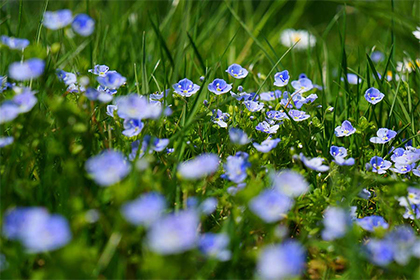 2021年不宜订婚的属相,订婚日子有什么讲究?