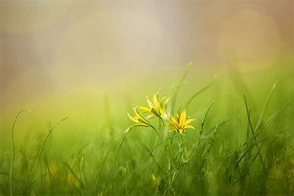 2021年不宜过生日的属相有啥?过生日的禁忌?