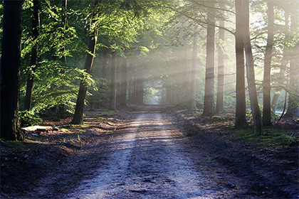 2021年不同年份属马人的运势,属马2021年几月运势最好?