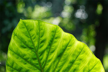 2021年不宜结婚的属相，结婚有什么禁忌？