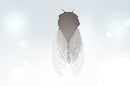 2021年惊蛰是几月几号 3月5日星期五