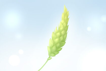 雨水节气的含义 万物萌动适合春耕