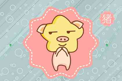 71属猪的人十年大运 未来充满无限希望