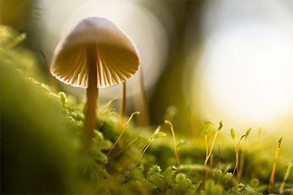 2021年不宜搬家的星座？入宅有什么注意事项？