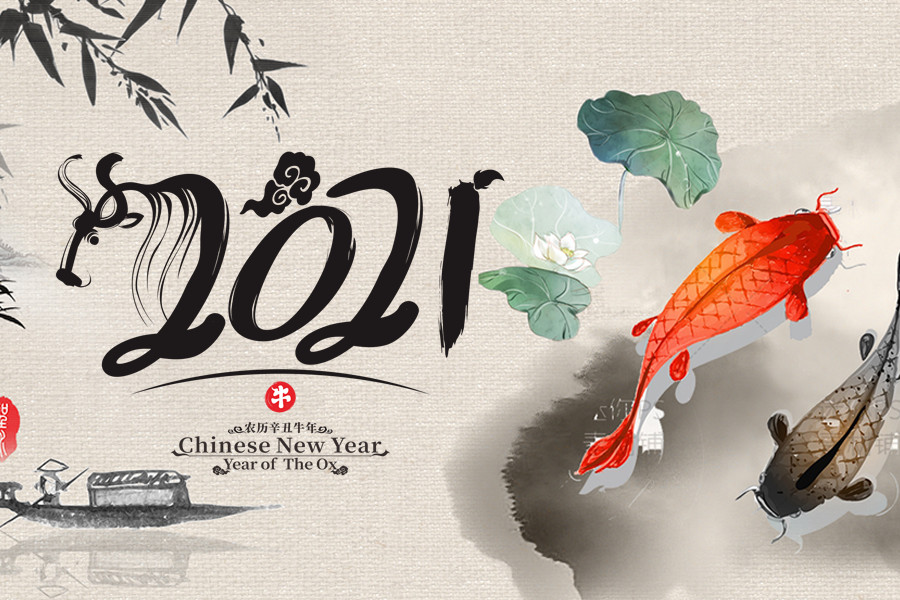 老婆属猪老公属狗2021年能生小孩吗？孩子的运势如何？