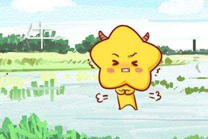 牛 两个属牛人在2021年的婚姻运势详解