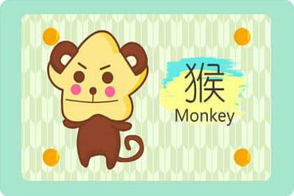 猴 生肖兔和猴相配吗 性格相合观念有分歧