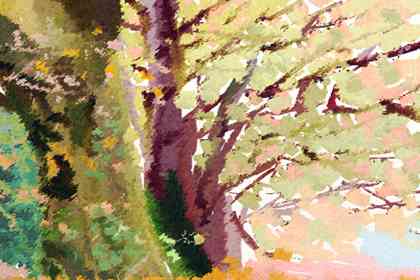 惊蛰节气的含义和风俗 惊蛰节气的含义和风俗 祭祀雷神喝醪酒