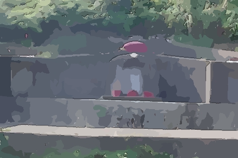 怎么样知道祖坟风水好坏 关于坟地风水的说法