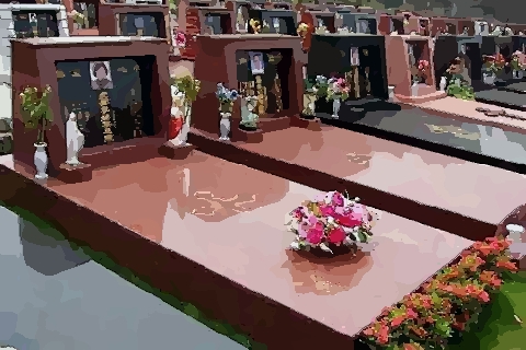 坟墓上长这东西竟然能旺儿孙 坟墓风水你不知道的事