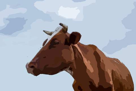 属相命运解析生肖牛几点出生最好