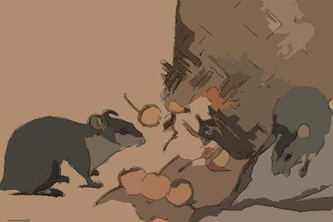 1972年女性属鼠人2021年运势运程 49岁属鼠女2021年全年每月运势如何