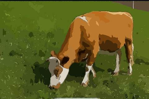 属牛正月出生的命运怎么样了解多少