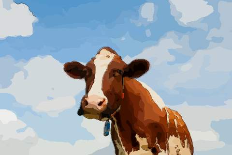 属牛丑时出生的命运如何是不是很苦