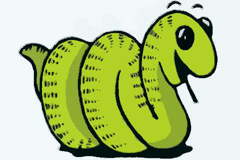 属蛇2022年运势及运程 2022年属蛇人的全年每月运势详解