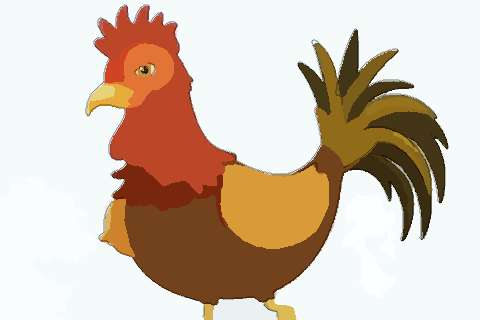 属鸡2022年运势及运程 2022年属鸡人的全年每月运势详解